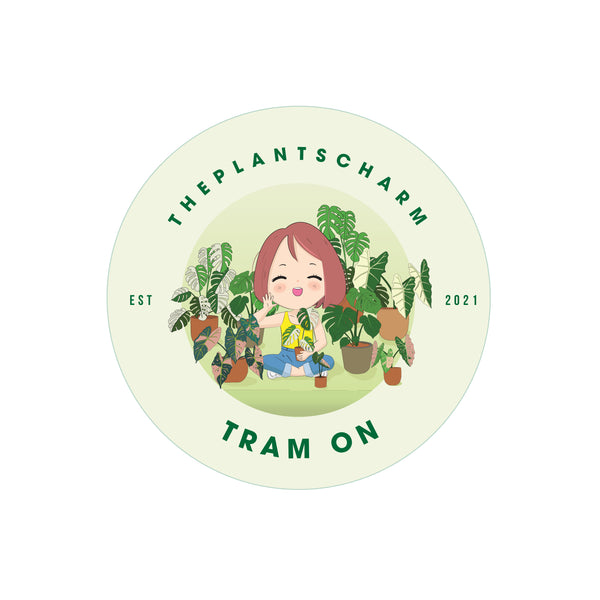 The Plants’ Charm